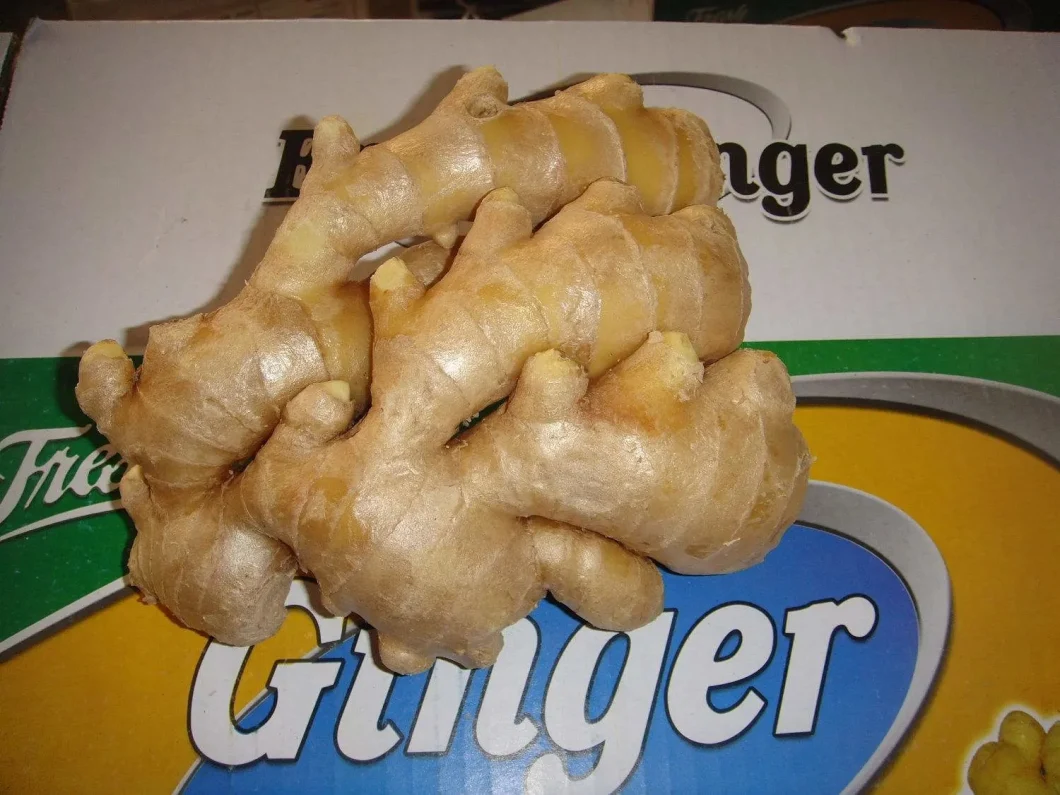 Dried Ginger Ayurvedic Medicine 100% Pure Quality Healthcare Product
